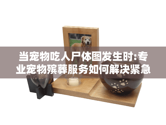 当宠物吃人尸体图发生时:专业宠物殡葬服务如何解决紧急难题