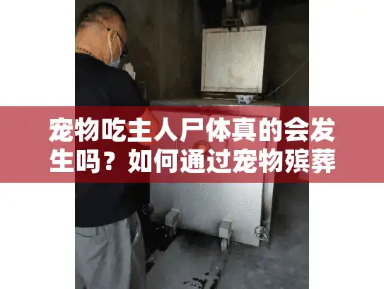 宠物吃主人尸体真的会发生吗？如何通过宠物殡葬服务预防悲剧？