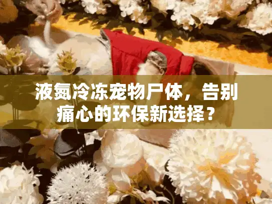 液氮冷冻宠物尸体,告别痛心的环保新选择? 液氮冷冻宠物尸体,告别痛心的环保新选择?