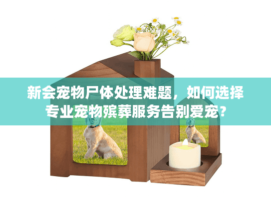 新会宠物尸体处理难题，如何选择专业宠物殡葬服务告别爱宠？