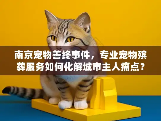 南京宠物善终事件，专业宠物殡葬服务如何化解城市主人痛点？