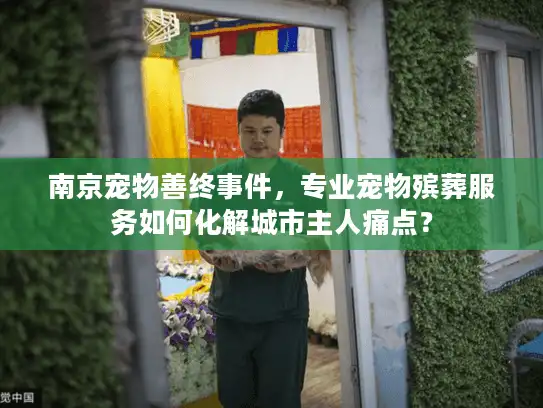 南京宠物善终事件，专业宠物殡葬服务如何化解城市主人痛点？
