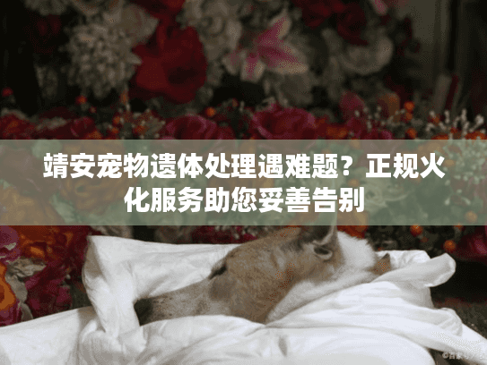 靖安宠物遗体处理遇难题？正规火化服务助您妥善告别