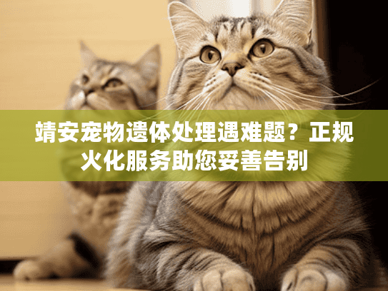 靖安宠物遗体处理遇难题？正规火化服务助您妥善告别