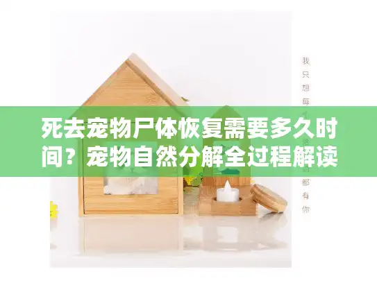 死去宠物尸体恢复需要多久时间?宠物自然分解全过程解读 死去宠物尸体恢复需要多久时间?宠物自然分解全过程解读