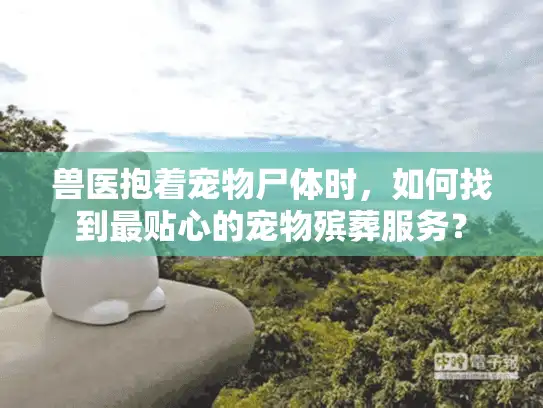 兽医抱着宠物尸体时，如何找到最贴心的宠物殡葬服务？
