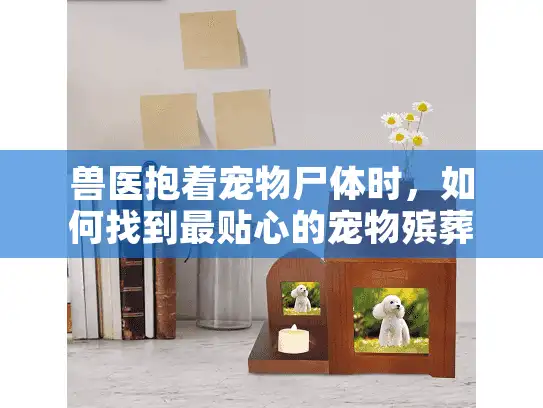 兽医抱着宠物尸体时，如何找到最贴心的宠物殡葬服务？