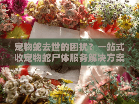 宠物蛇去世的困扰？一站式收宠物蛇尸体服务解决方案