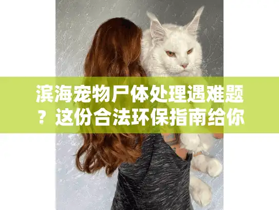 滨海宠物尸体处理遇难题？这份合法环保指南给你答案