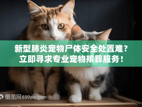 新型肺炎宠物尸体安全处置难？立即寻求专业宠物殡葬服务！