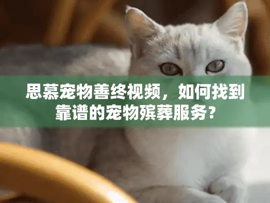 思慕宠物善终视频,如何找到靠谱的宠物殡葬服务? 思慕宠物善终视频,如何找到靠谱的宠物殡葬服务?