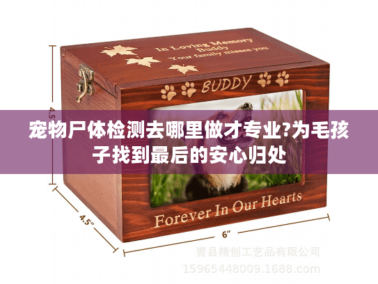 宠物尸体检测去哪里做才专业?为毛孩子找到最后的安心归处 宠物尸体检测去哪里做才专业?为毛孩子找到最后的安心归处