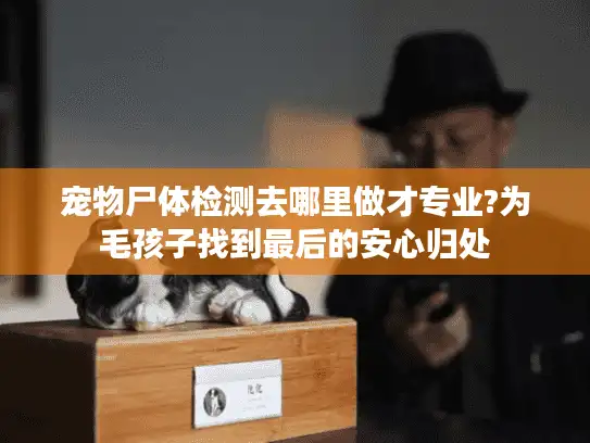 宠物尸体检测去哪里做才专业?为毛孩子找到最后的安心归处 宠物尸体检测去哪里做才专业?为毛孩子找到最后的安心归处