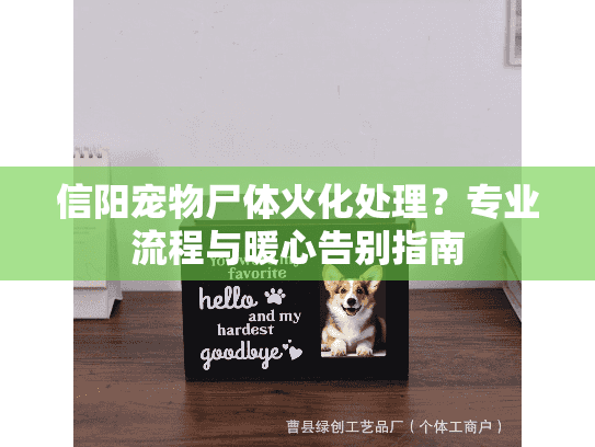 信阳宠物尸体火化处理?专业流程与暖心告别指南 信阳宠物尸体火化处理?专业流程与暖心告别指南