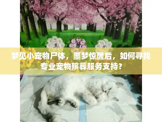 梦见小宠物尸体，噩梦惊醒后，如何寻找专业宠物殡葬服务支持？