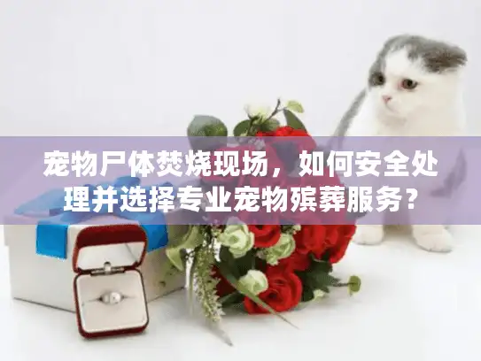 宠物尸体焚烧现场，如何安全处理并选择专业宠物殡葬服务？