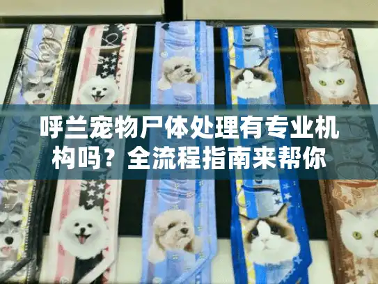 呼兰宠物尸体处理有专业机构吗？全流程指南来帮你