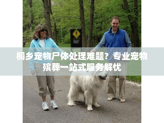 桐乡宠物尸体处理难题？专业宠物殡葬一站式服务解忧