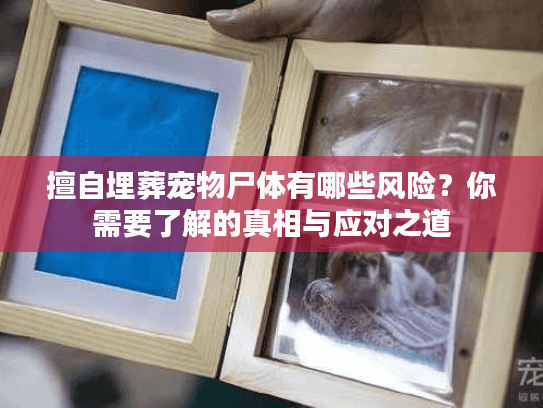 擅自埋葬宠物尸体有哪些风险？你需要了解的真相与应对之道