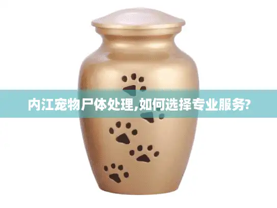 内江宠物尸体处理,如何选择专业服务?