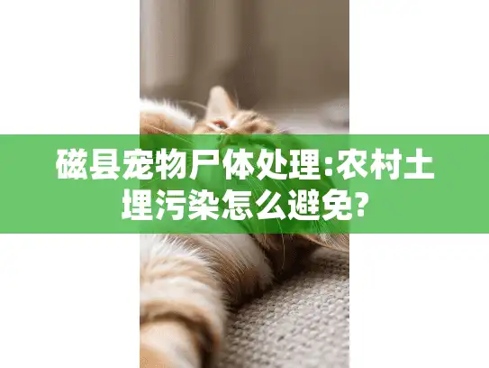 磁县宠物尸体处理:农村土埋污染怎么避免?