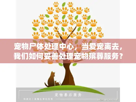 宠物尸体处理中心，当爱宠离去，我们如何妥善处理宠物殡葬服务？