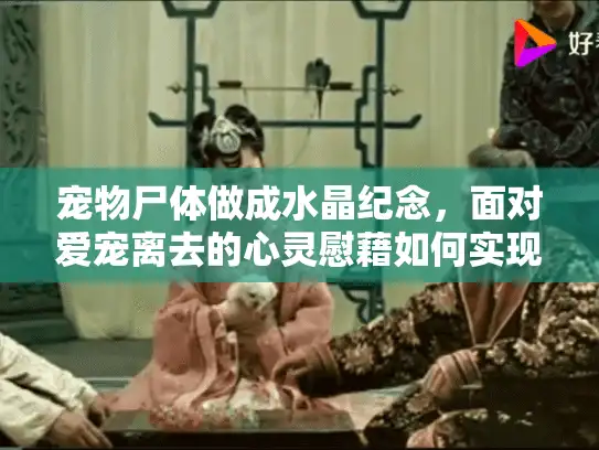 宠物尸体做成水晶纪念，面对爱宠离去的心灵慰藉如何实现？