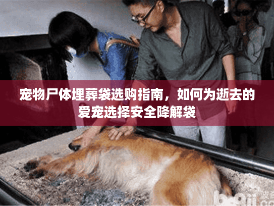 宠物尸体埋葬袋选购指南,如何为逝去的爱宠选择安全降解袋 宠物尸体埋葬袋选购指南,如何为逝去的爱宠选择安全降解袋