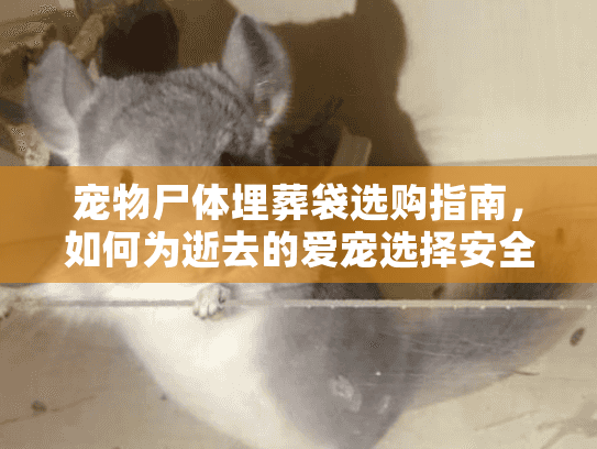 宠物尸体埋葬袋选购指南,如何为逝去的爱宠选择安全降解袋 宠物尸体埋葬袋选购指南,如何为逝去的爱宠选择安全降解袋