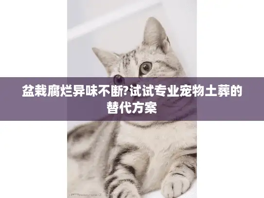 盆栽腐烂异味不断?试试专业宠物土葬的替代方案