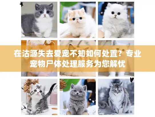 在沽源失去爱宠不知如何处置？专业宠物尸体处理服务为您解忧