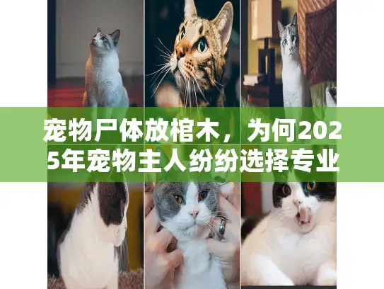 宠物尸体放棺木，为何2025年宠物主人纷纷选择专业告别？