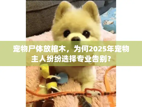 宠物尸体放棺木，为何2025年宠物主人纷纷选择专业告别？