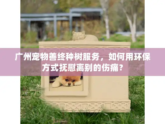 广州宠物善终种树服务,如何用环保方式抚慰离别的伤痛? 广州宠物善终种树服务,如何用环保方式抚慰离别的伤痛?