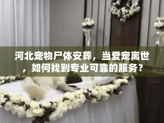 河北宠物尸体安葬，当爱宠离世，如何找到专业可靠的服务？