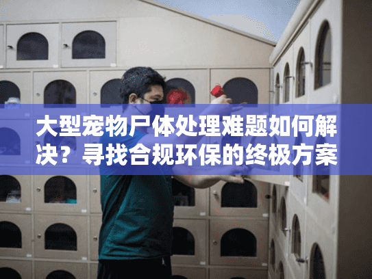 大型宠物尸体处理难题如何解决？寻找合规环保的终极方案