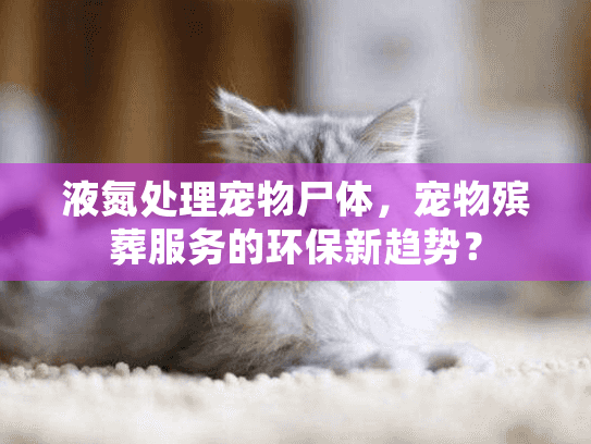 液氮处理宠物尸体，宠物殡葬服务的环保新趋势？