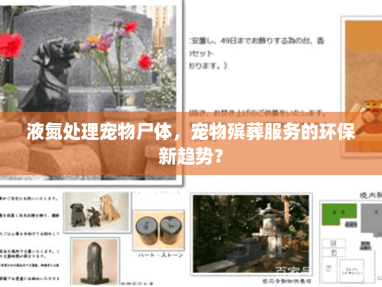液氮处理宠物尸体，宠物殡葬服务的环保新趋势？