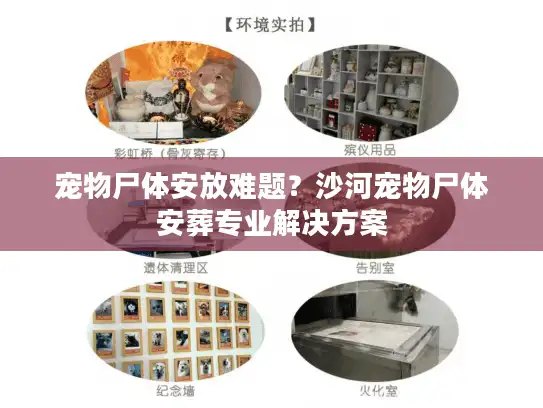 宠物尸体安放难题？沙河宠物尸体安葬专业解决方案