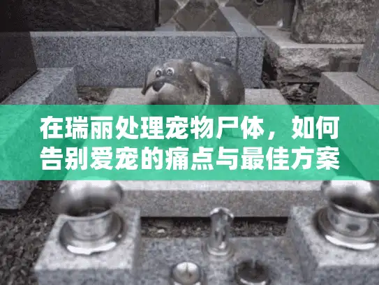 在瑞丽处理宠物尸体,如何告别爱宠的痛点与最佳方案? 在瑞丽处理宠物尸体,如何告别爱宠的痛点与最佳方案?