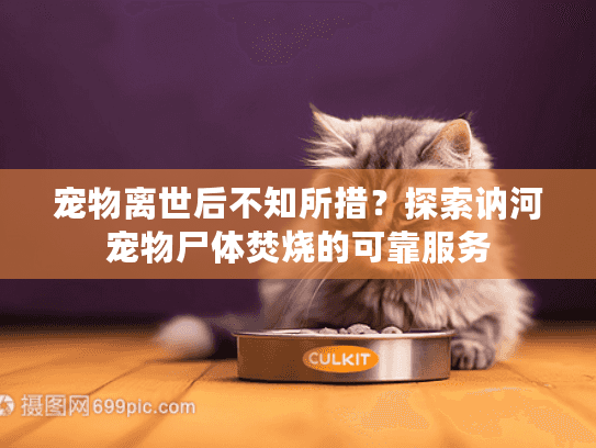 宠物离世后不知所措？探索讷河宠物尸体焚烧的可靠服务