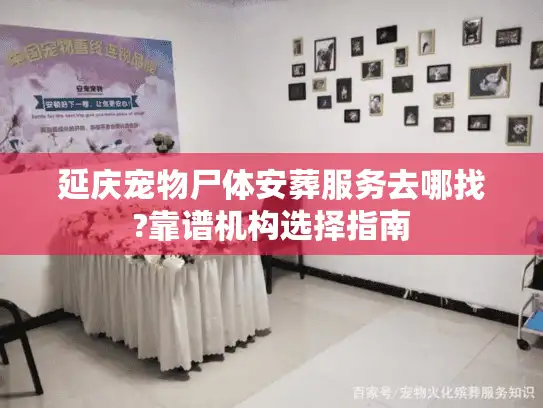 延庆宠物尸体安葬服务去哪找?靠谱机构选择指南