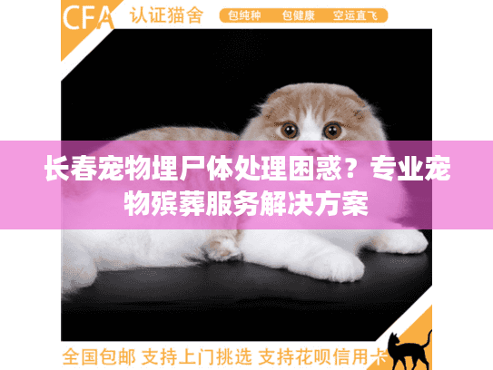 长春宠物埋尸体处理困惑？专业宠物殡葬服务解决方案