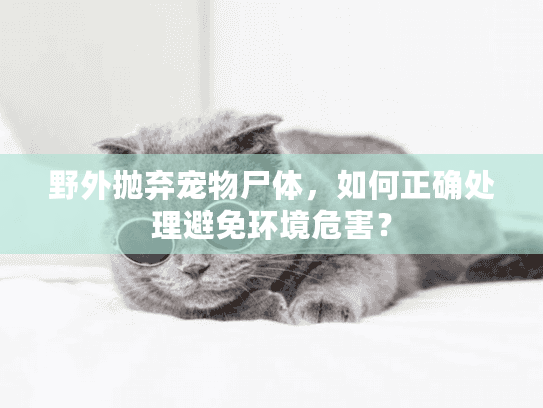 野外抛弃宠物尸体，如何正确处理避免环境危害？