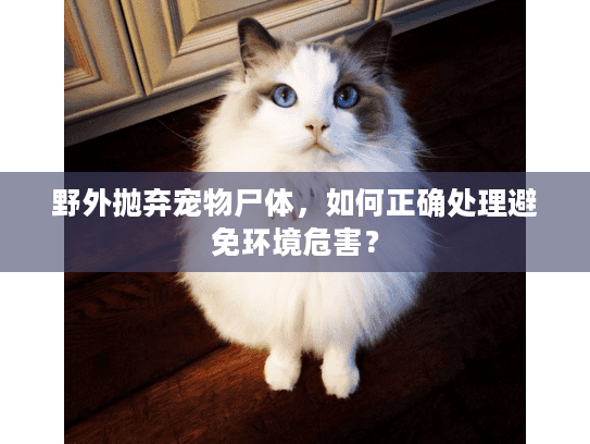 野外抛弃宠物尸体，如何正确处理避免环境危害？