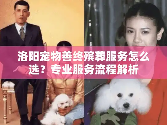 洛阳宠物善终殡葬服务怎么选?专业服务流程解析 洛阳宠物善终殡葬服务怎么选?专业服务流程解析