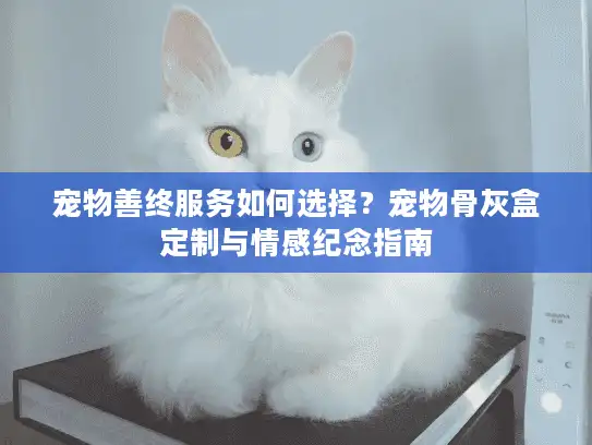 宠物善终服务如何选择?宠物骨灰盒定制与情感纪念指南 宠物善终服务如何选择?宠物骨灰盒定制与情感纪念指南