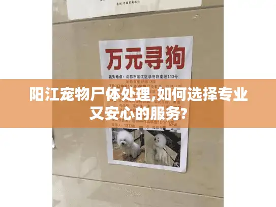 阳江宠物尸体处理,如何选择专业又安心的服务? 阳江宠物尸体处理,如何选择专业又安心的服务?