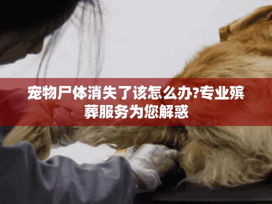 宠物尸体消失了该怎么办?专业殡葬服务为您解惑