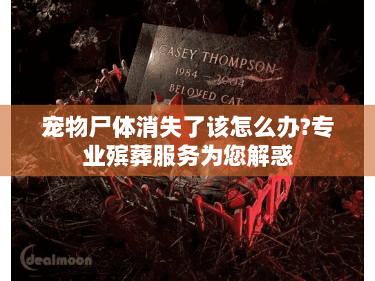 宠物尸体消失了该怎么办?专业殡葬服务为您解惑